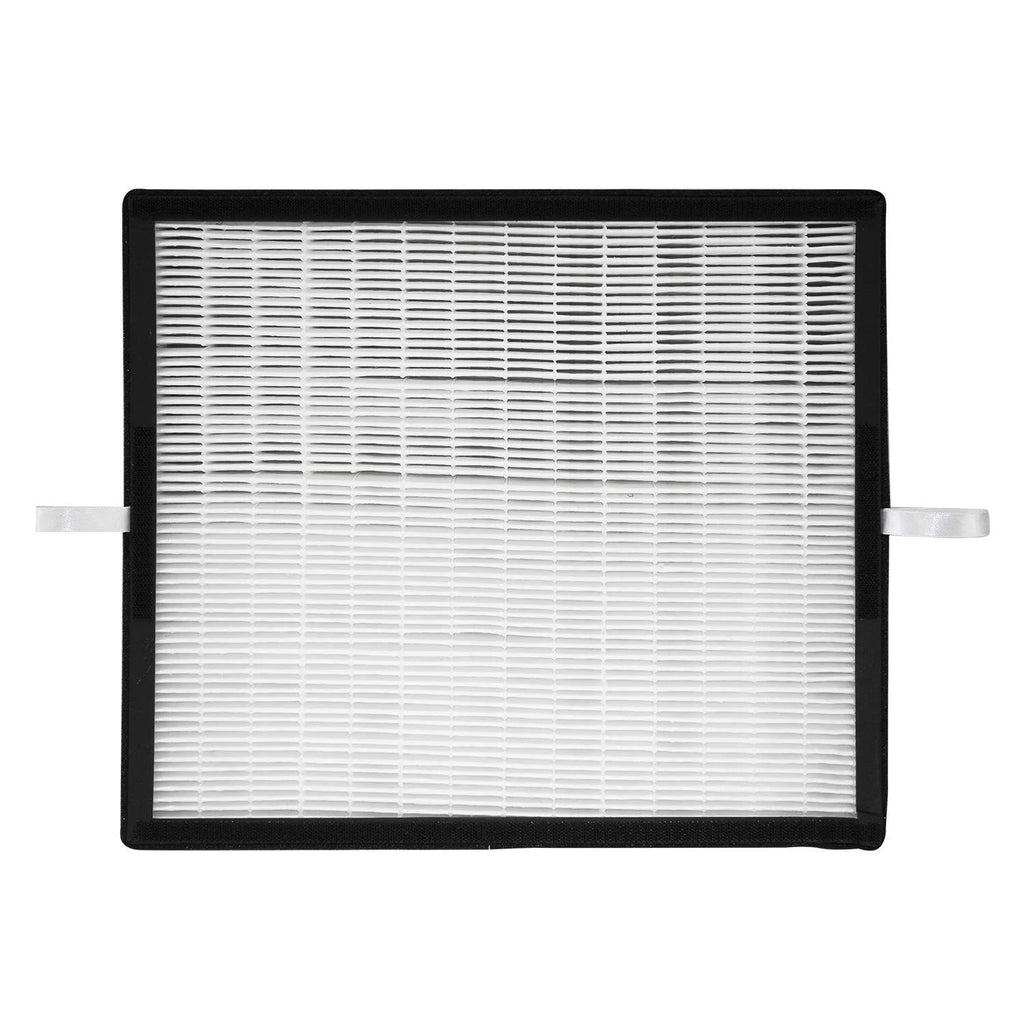 HEPA Replacement Filter D894