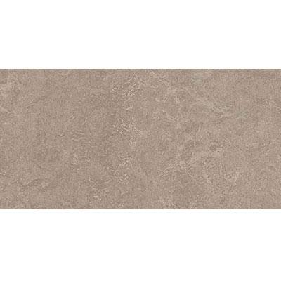 Marmoleum Modular 10x22 x 20x22 T50215