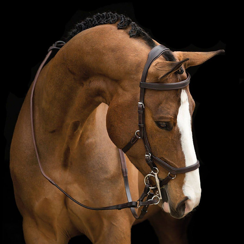 Brown Competition Bridle U539