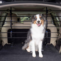 Metal Dog Barrier Pack of 2 C49062