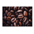 Canvas Art G959