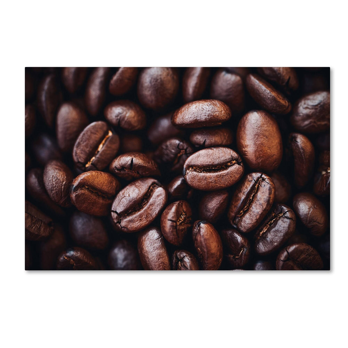 Canvas Art G959