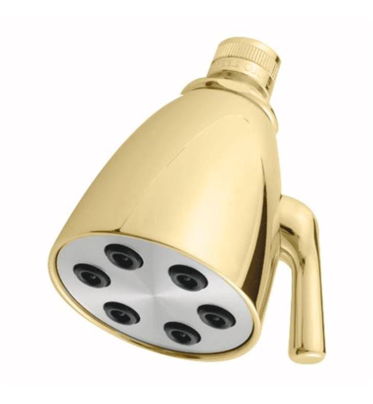 Polished Brass Showerhead R586661
