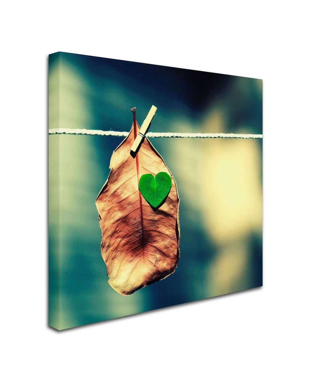 Canvas Art X67764