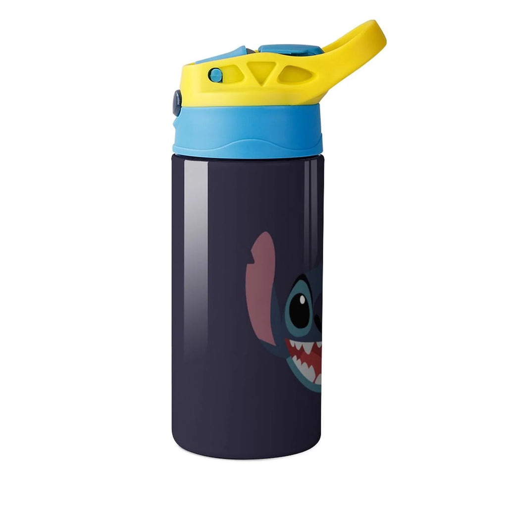 Vacuum Insulated Stainless Steel Water Bottle with Straw H872232
