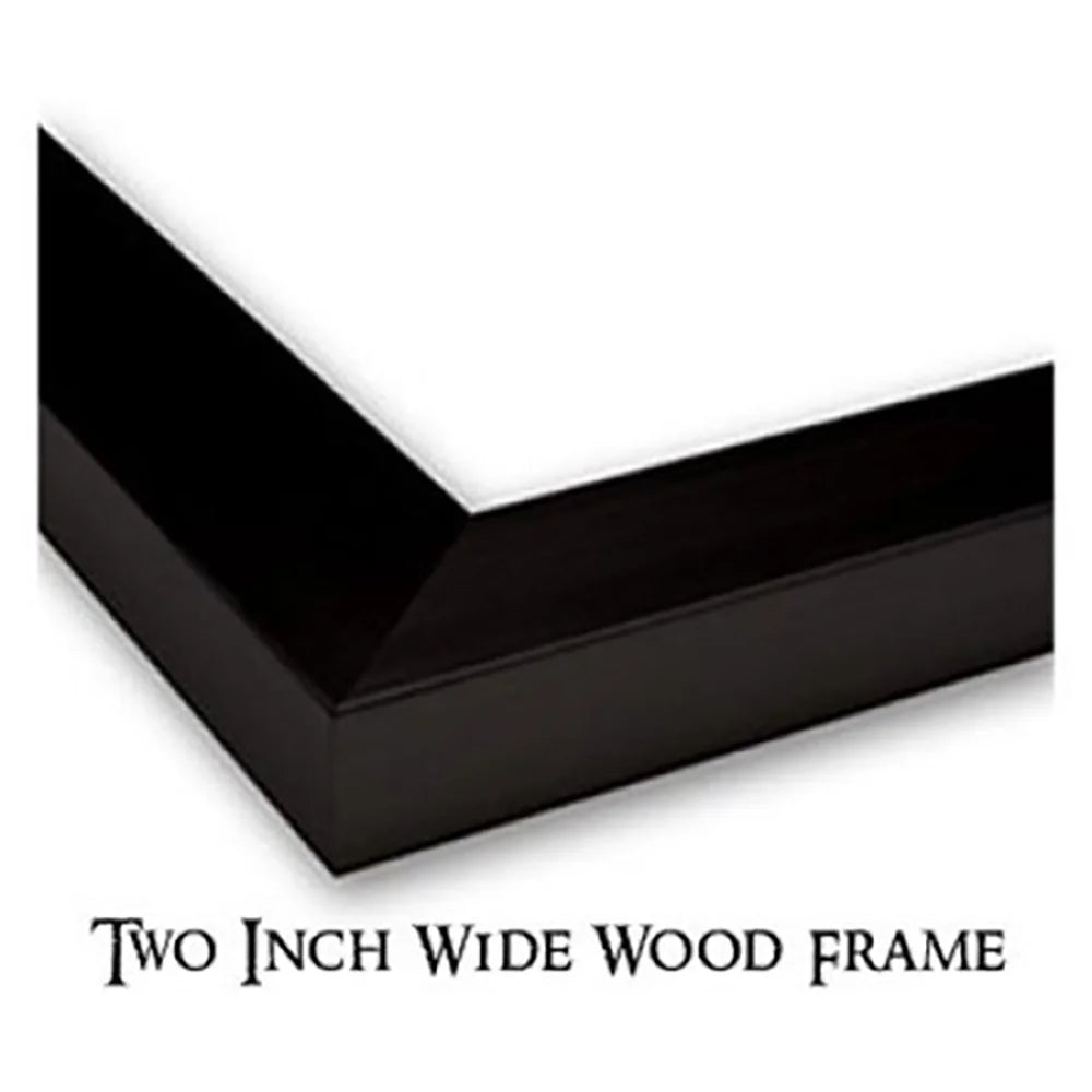 Black Modern Framed Museum Art Print S11903