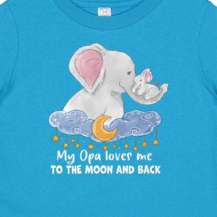 Baby T-Shirt R308
