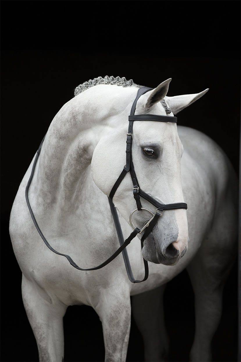 Brown Competition Bridle U539