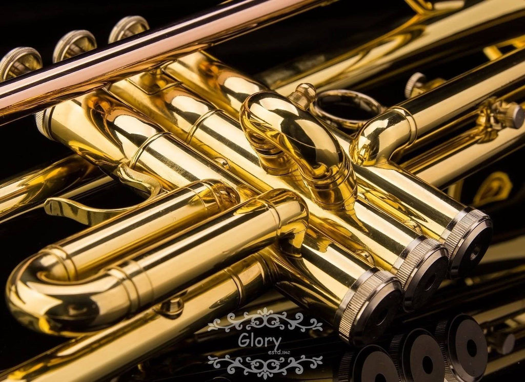 Brass Bb Trumpet with Pro Case and Care Kit M459
