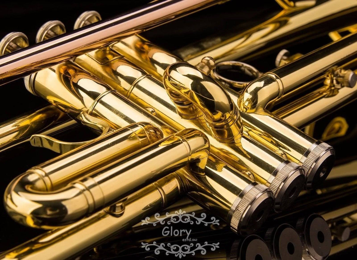 Brass Bb Trumpet with Pro Case and Care Kit M459