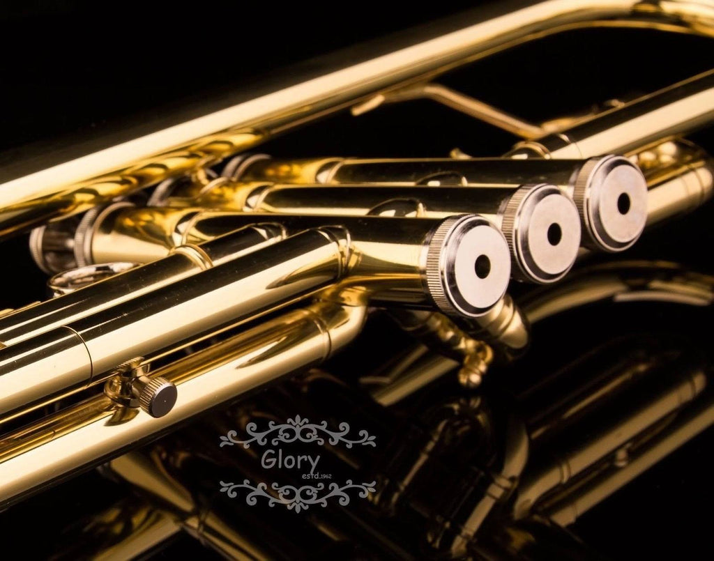 Brass Bb Trumpet with Pro Case and Care Kit M459