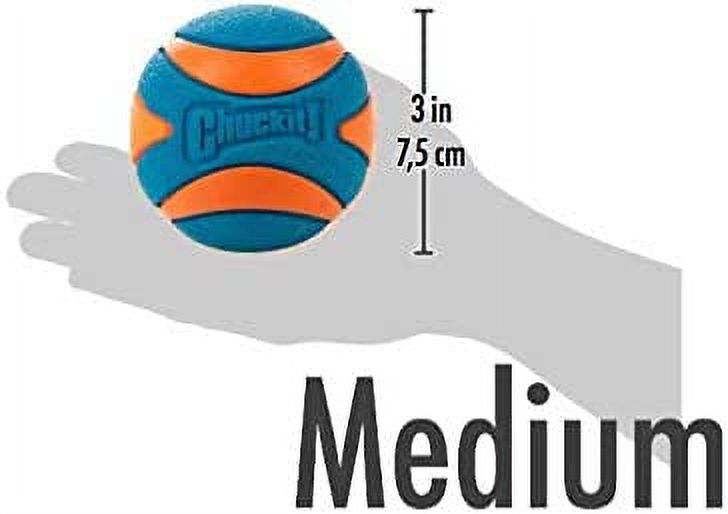Squeaker Ball Dog Toy, Medium 2.5 Inch 2 Pack R74166