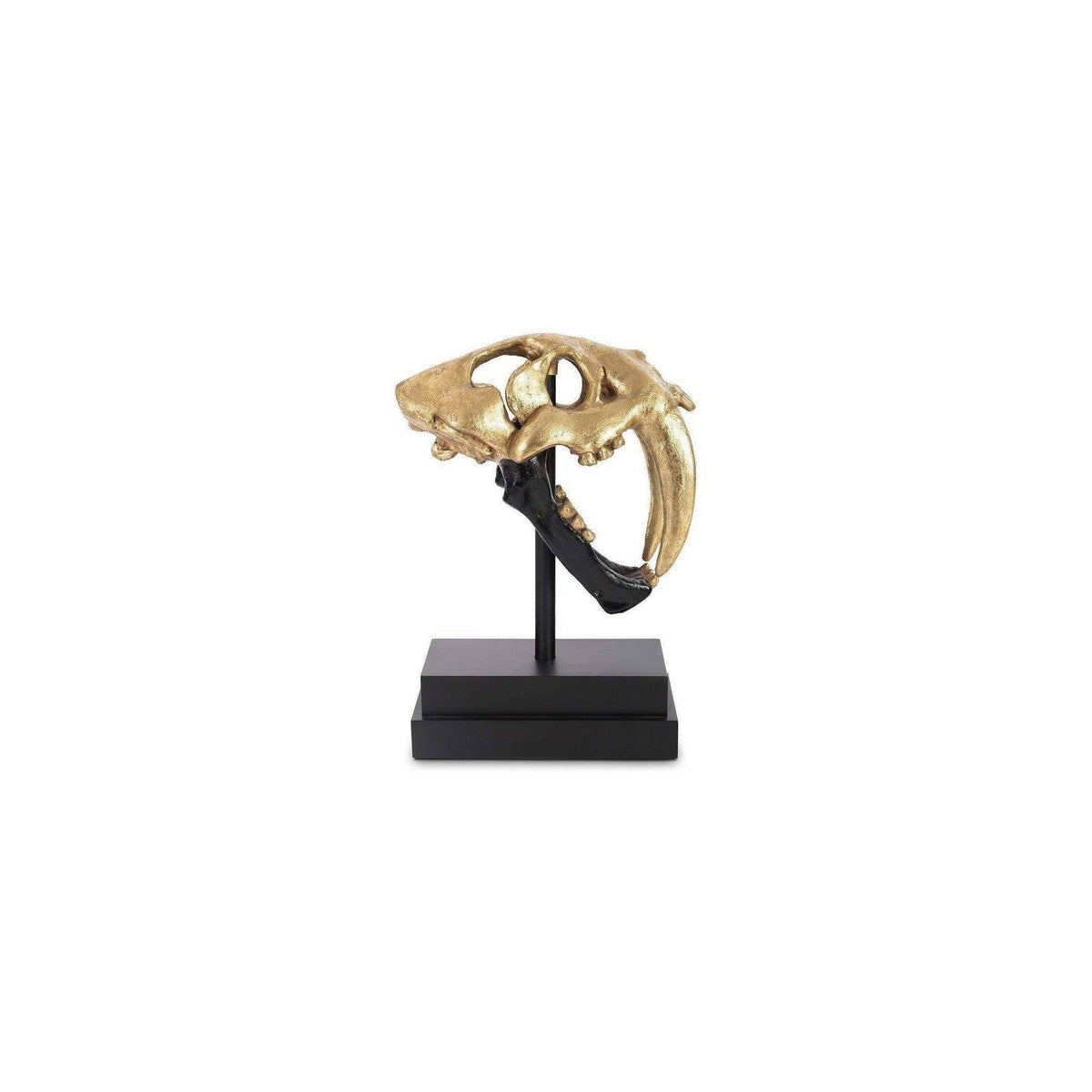 Black Gold Leaf Tiger Skull Z90528