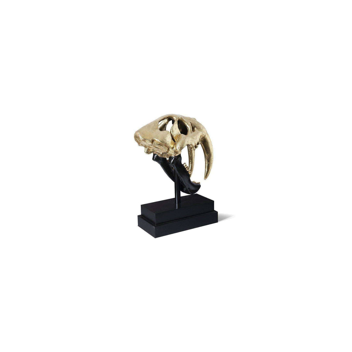 Black Gold Leaf Tiger Skull Z90528