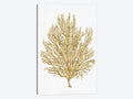 Gold O Canvases P9832