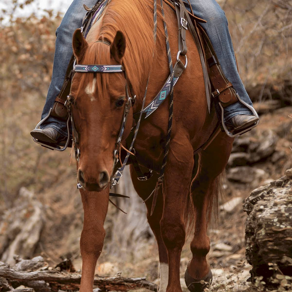 Taos Beaded Browband Headstall F790815
