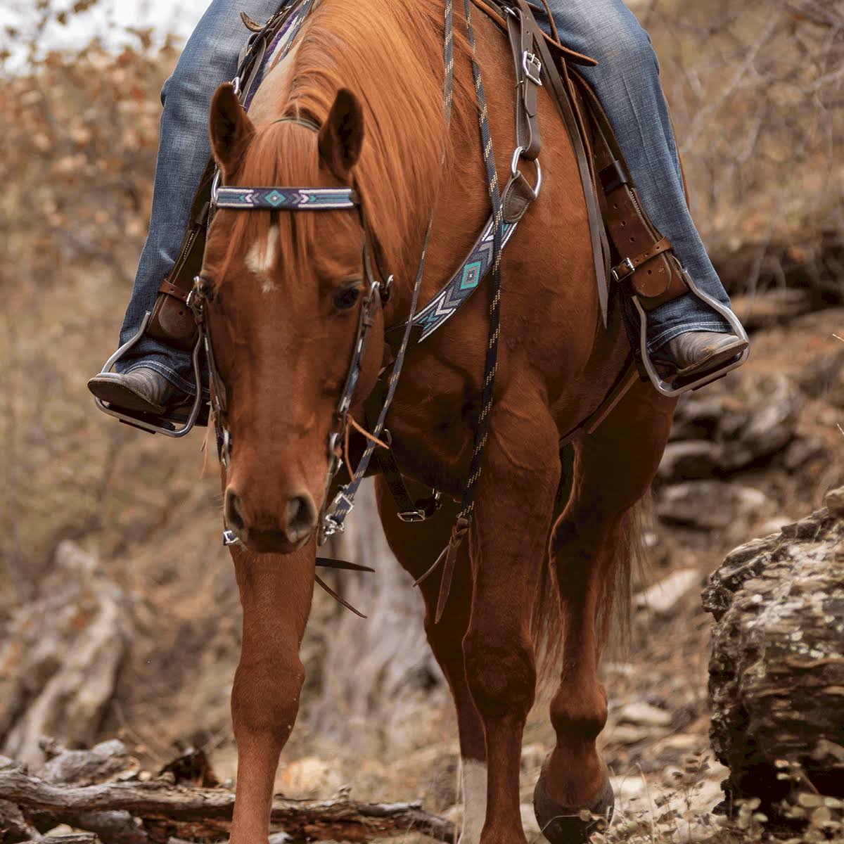 Taos Beaded Browband Headstall F790815