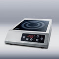 13 Smoothtop Portable Electric Induction Cooktop With 1 Cooking Zone In Stainless Steel I485
