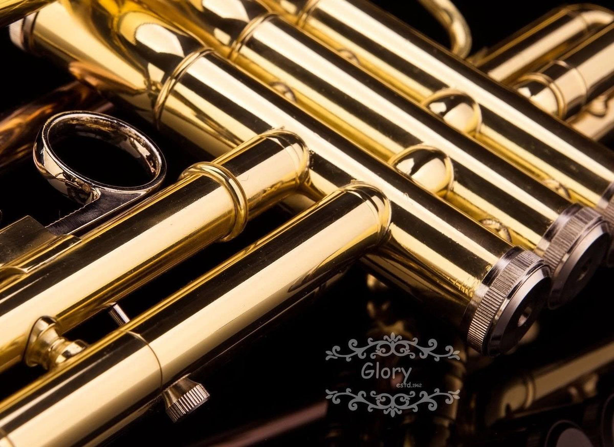 Brass Bb Trumpet with Pro Case and Care Kit M459