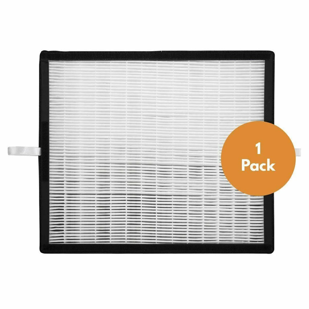HEPA Replacement Filter D894
