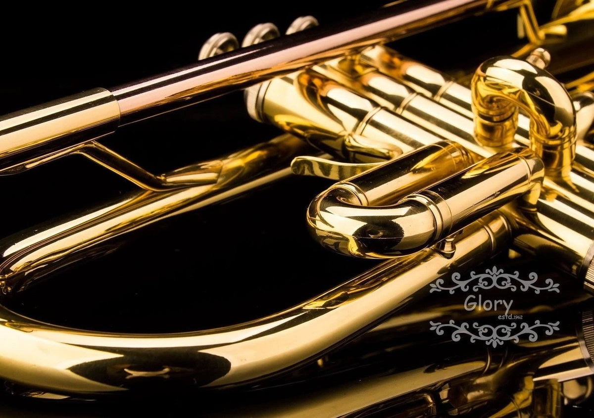 Brass Bb Trumpet with Pro Case and Care Kit M459