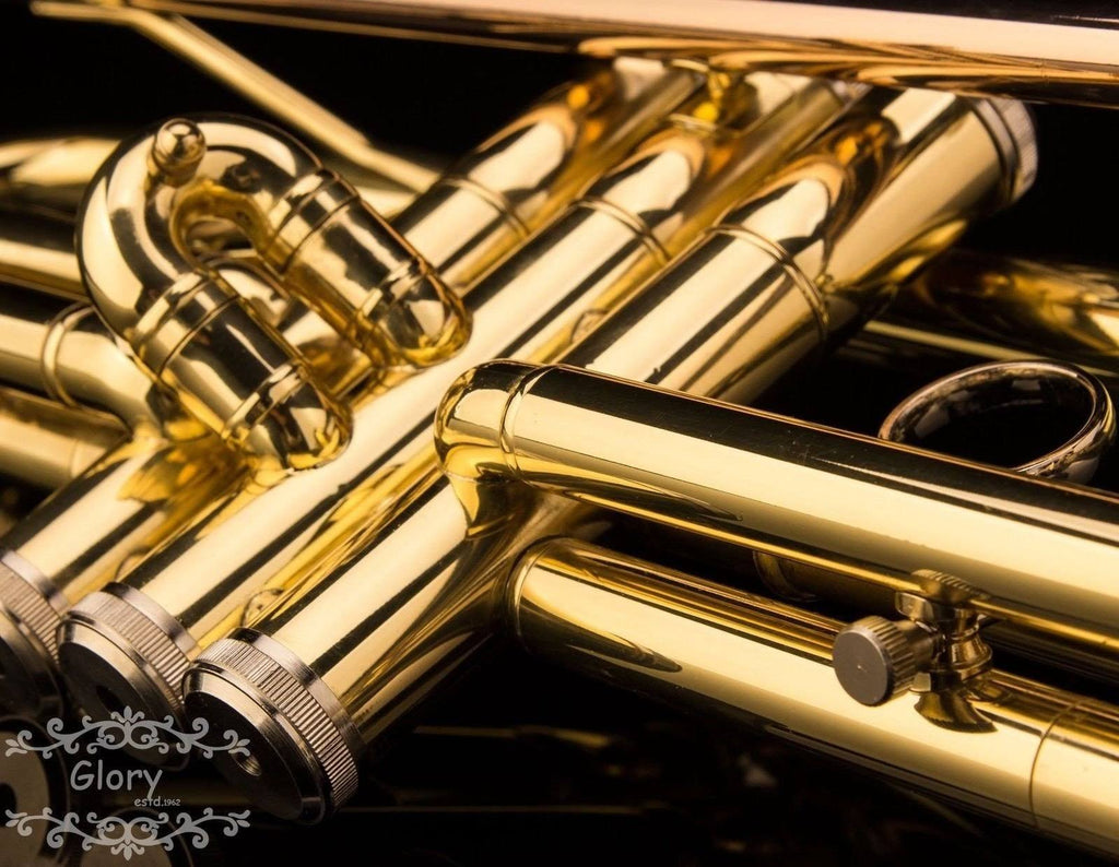 Brass Bb Trumpet with Pro Case and Care Kit M459