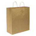 18x22 x 18.75 Shopping Bags S63023