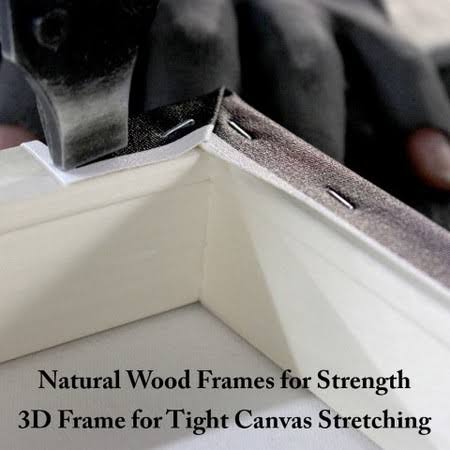 Canvas Art G959