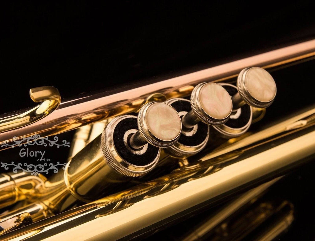 Brass Bb Trumpet with Pro Case and Care Kit M459