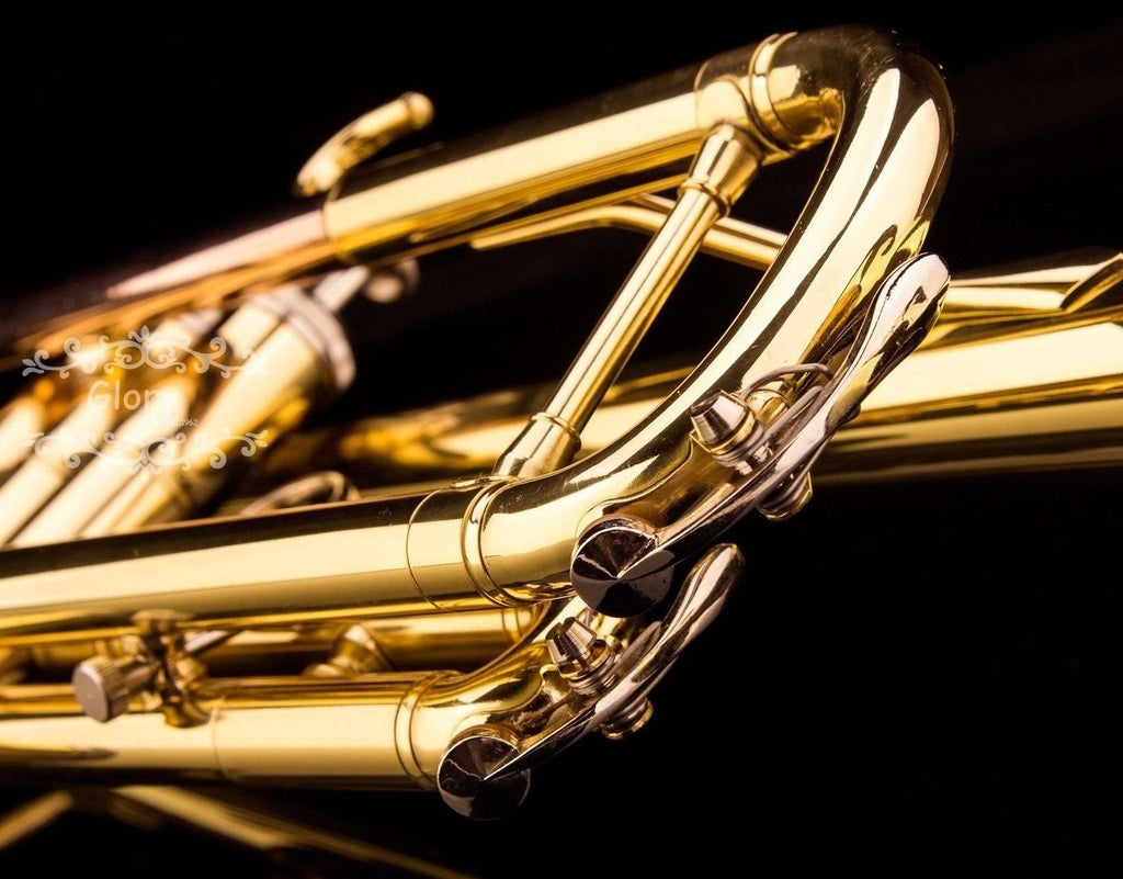 Brass Bb Trumpet with Pro Case and Care Kit M459