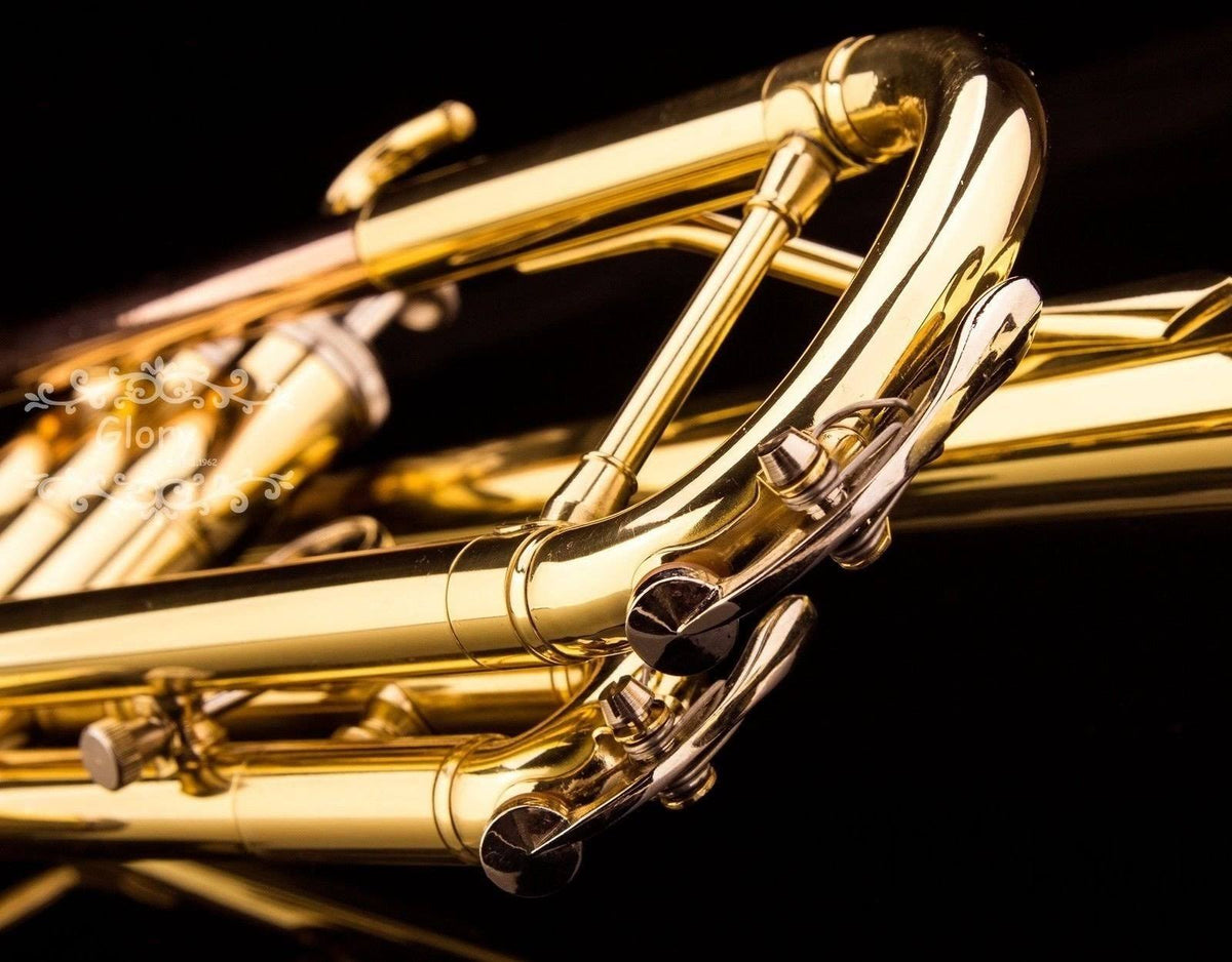Brass Bb Trumpet with Pro Case and Care Kit M459