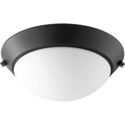 Noir 2-Light Ceiling Fan Globe Light Kit Z859782
