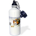 21oz Sports Water Bottle C772752