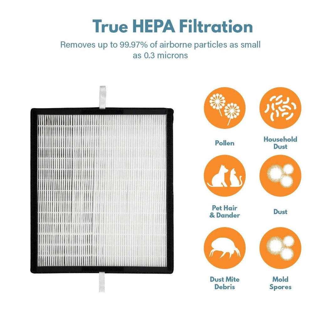 HEPA Replacement Filter D894