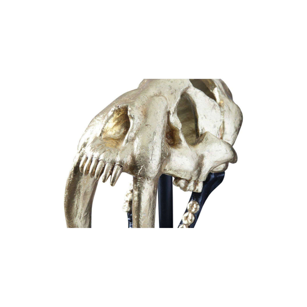 Black Gold Leaf Tiger Skull Z90528