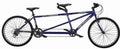 Blue 21 Speed Tandem Bicycle J573252