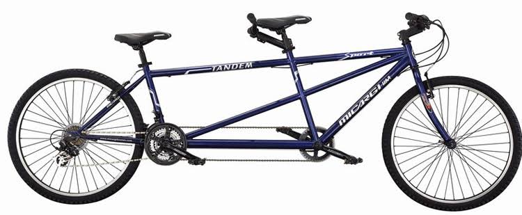 Blue 21 Speed Tandem Bicycle J573252