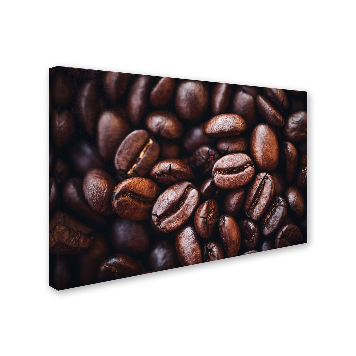 Canvas Art G959