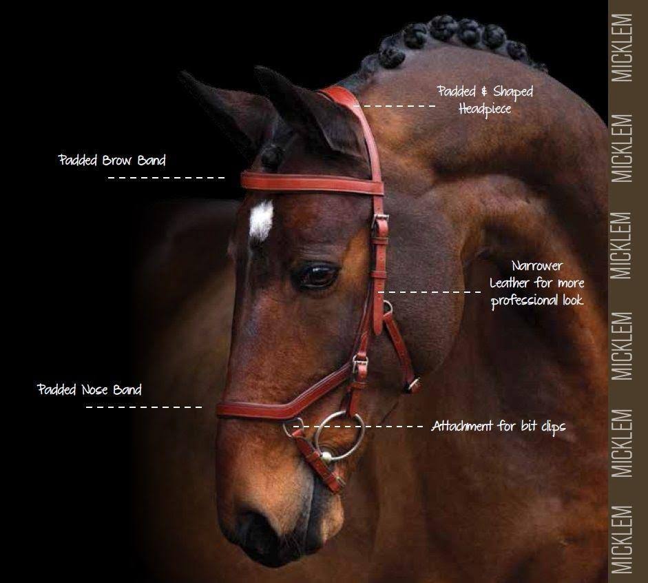 Brown Competition Bridle U539