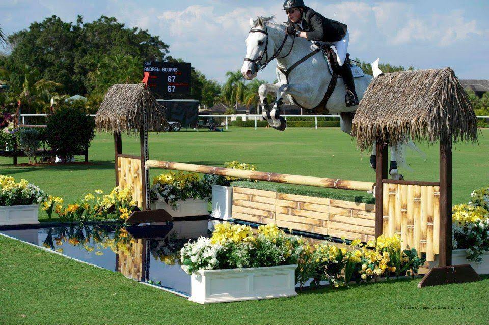 Brown Competition Bridle U539